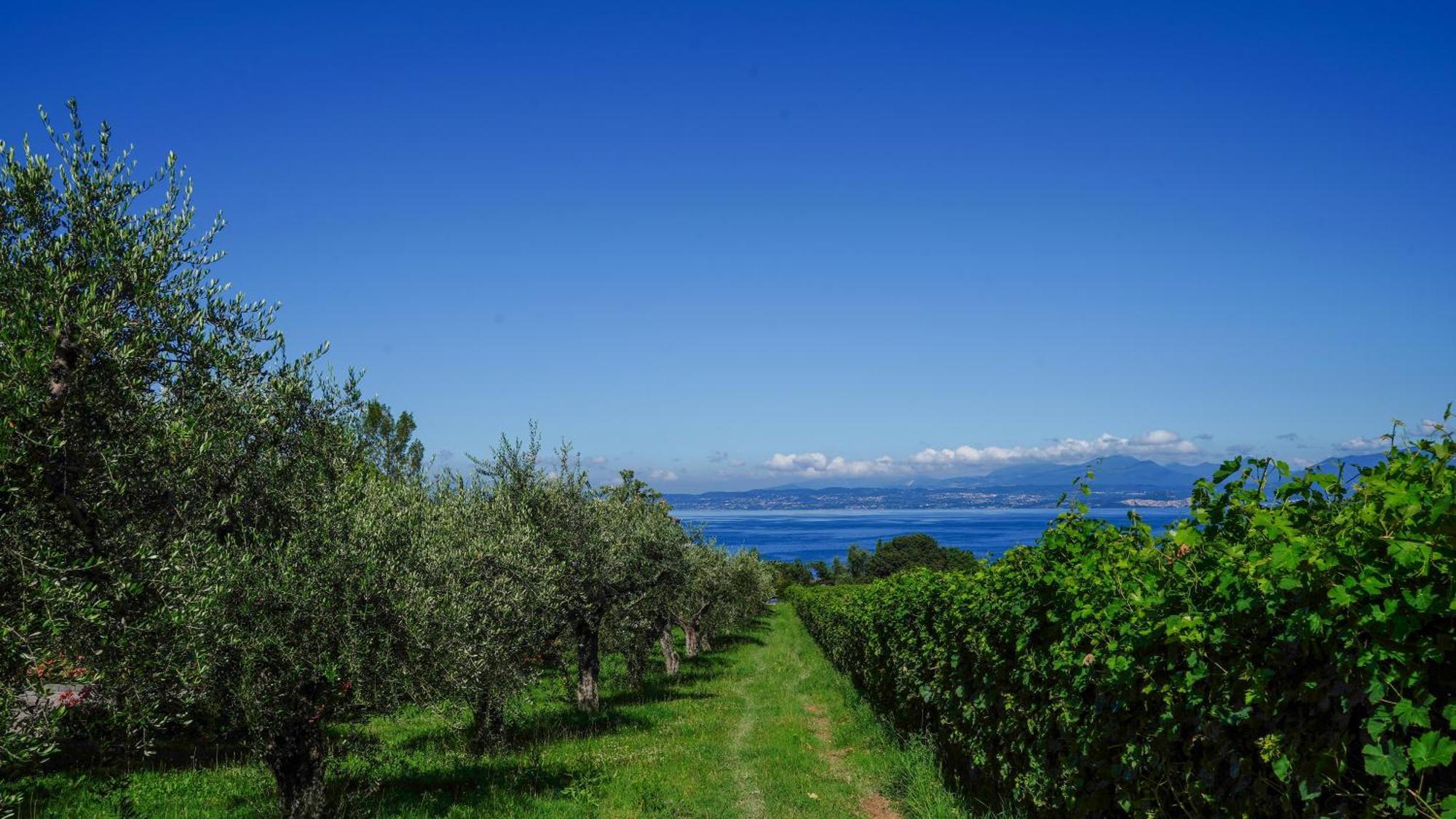Cala Appartamenti Bardolino Bagian luar foto